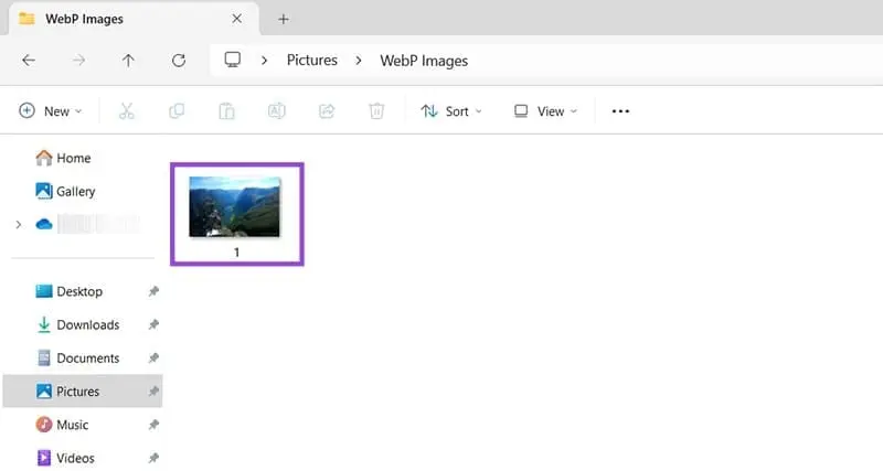 آموزش باز کردن WEBP در ویندوز + روش تبدیل فرمت WEBP‌ به JPG و PNG