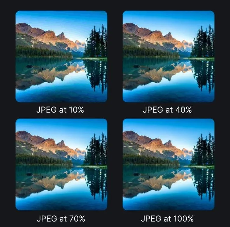 بهترین فرمت عکس چیست؟ مقایسه JPEG و PNG و RAW و TIFF و WebP و AVIF