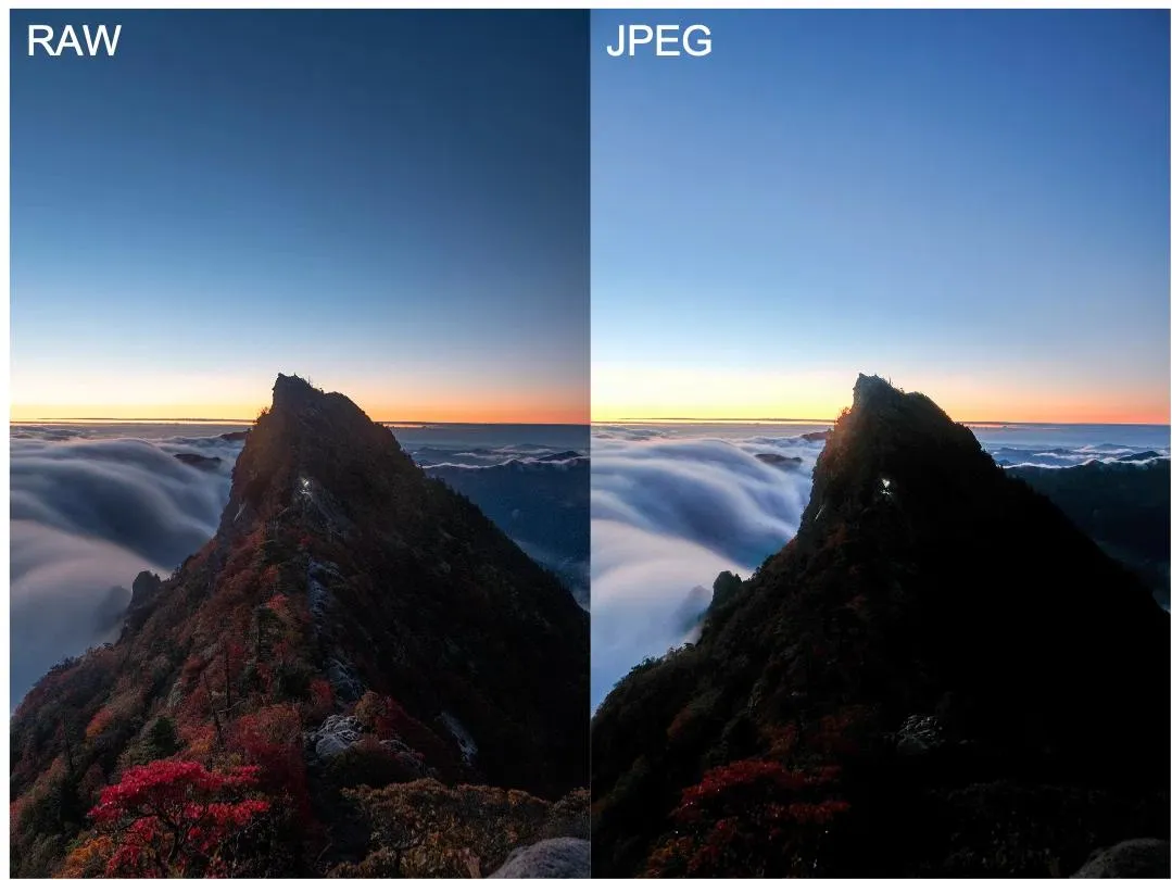 بهترین فرمت عکس چیست؟ مقایسه JPEG و PNG و RAW و TIFF و WebP و AVIF