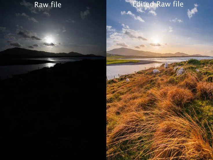 بهترین فرمت عکس چیست؟ مقایسه JPEG و PNG و RAW و TIFF و WebP و AVIF