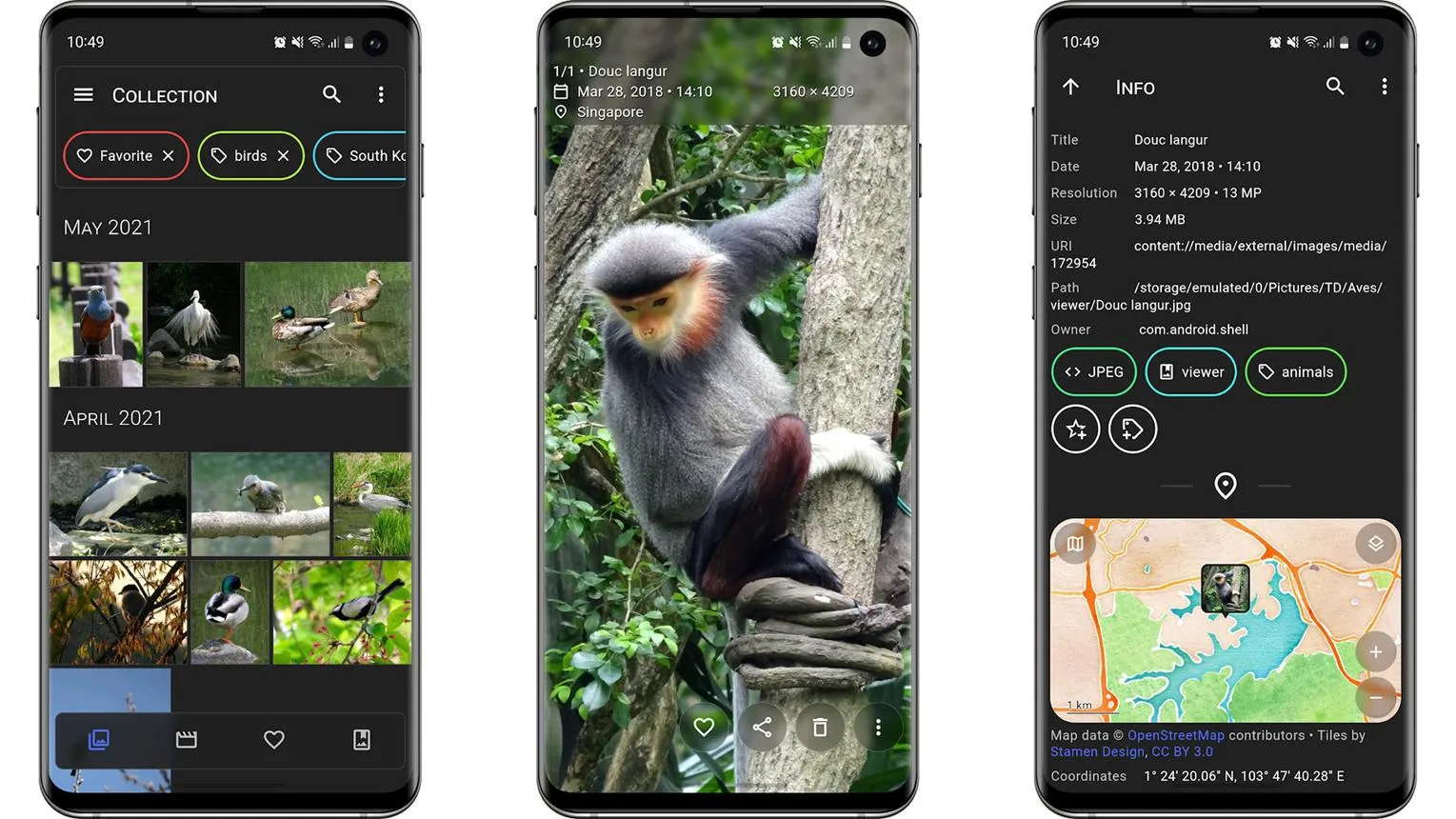 معرفی برنامه Aves برای اندروید؛ گالری پیشرفته با نمایش اطلاعات مخفی عکس و جستجوی هوشمند